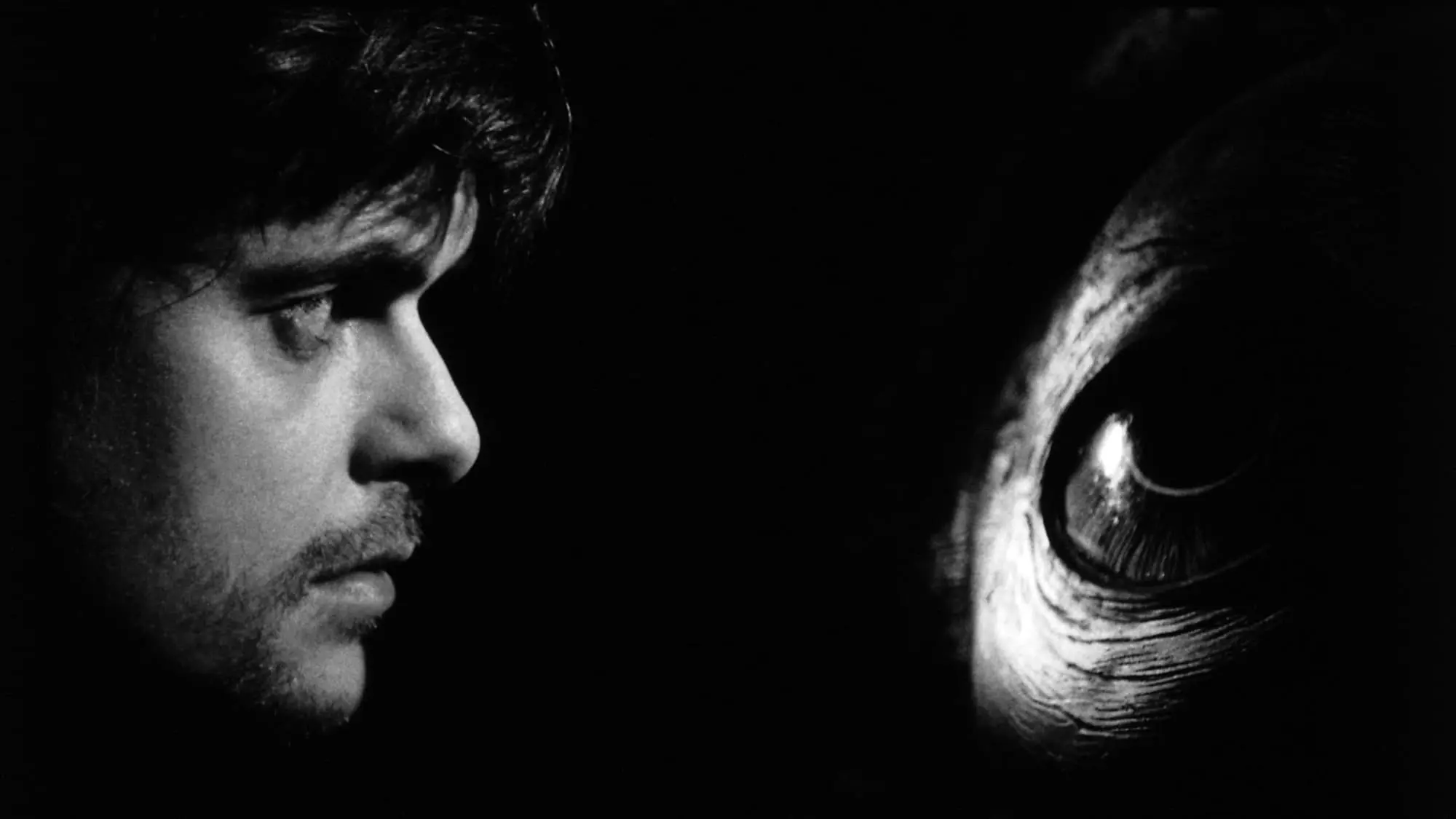 Věčné přesýpací hodiny se stále otáčejí. Jak Béla Tarr pracuje s Nietzscheho myšlenkami