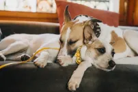 Gump, jsme dvojka: ukázka z natáčení písně