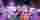 My Little Pony: Bridlewoodstock: trailer