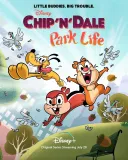 Chip a Dale: Život v parku
