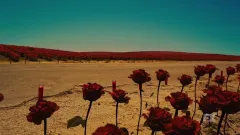 Zákon gangu: Mayové: teaser trailer