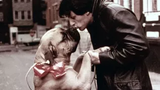 Slavná tréninková montáž z Rockyho mohla vypadat jinak, kdyby Stallone byl silnější