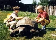 Potkal jsem ho v ZOO: ukázka