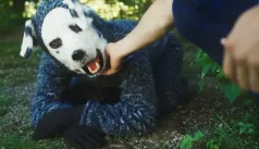 „Zvrácené, temné, zábavná magořina.“ Z thrilleru o chlápkovi v psím kostýmu mrazí