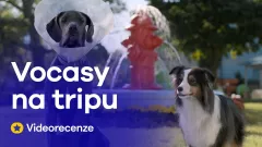 Videorecenze - Vocasy na tripu