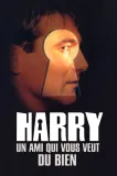 Harry to s vámi myslí dobře