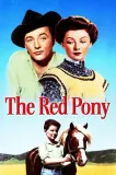 Red Pony, The