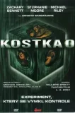 Kostka 0