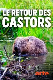 Návrat bobrů