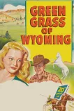 Green Grass of Wyoming