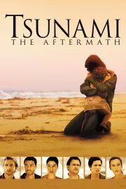 Tsunami: Následky
