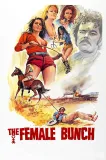 Female Bunch, The