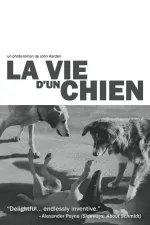 Vie d'un chien, La