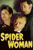 Sherlock Holmes and the Spider Woman