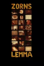 Zorn's Lemma