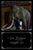 Elefant vergißt nie, Der