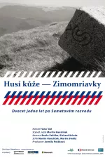 Husí kůže - Zimomriavky