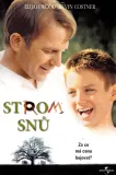 Strom snů