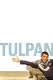 Tulpan