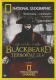 Blackbeard: Terror at Sea