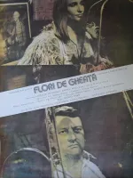 Flori de gheata