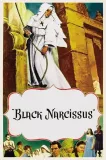 Černý narcis
