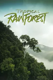 Tropický deštný prales