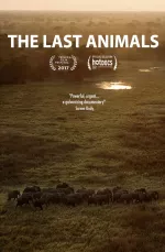 Poslední zvířata