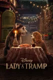 Lady a Tramp