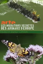 Tajemství migrace v přírodě