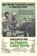 Obklíčeni slony