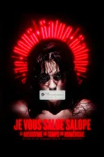 Mizogynie v digitálním věku