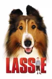 Lassie