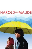 Harold a Maude