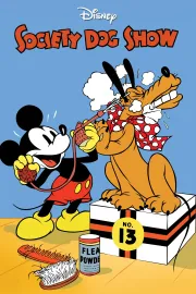 Výstava společenských psů