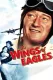 Wings of Eagles, The