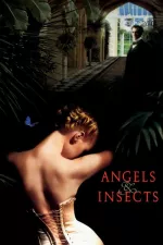 Andělé a hmyz