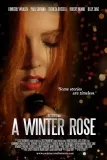 A Winter Rose