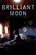 Oslnivý Měsíc: Pohled na Dilgo Khjence Rinpčheho
