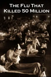 Španělská chřipka