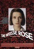 Weiße Rose, Die