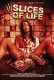 Slices of Life