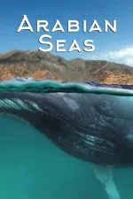 Obyvatelé arabských moří