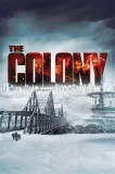 Colony