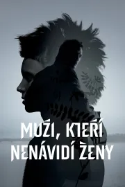 Muži, kteří nenávidí ženy