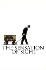 Sensation of Sight, The