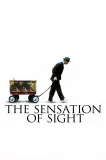 Sensation of Sight, The