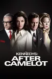 The Kennedys After Camelot