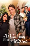 A Wedding for Christmas