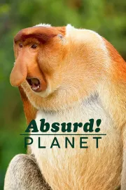 Absurdní planeta